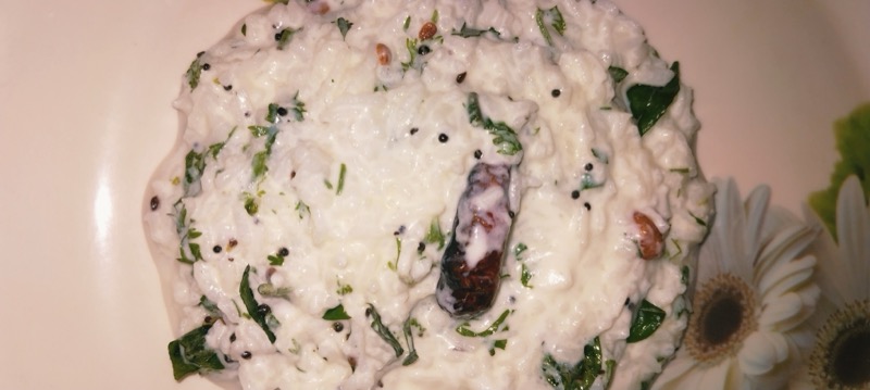 Curd Rice with Tadka